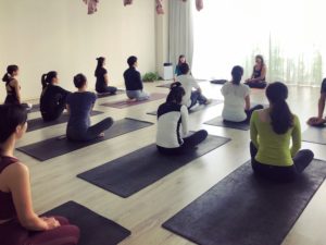 Chine stage hamsa sattva Yoga ashtanga hatha vinyasa yin chamonix