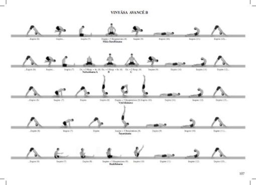 Astanga as it is version française yoga matthew Sweeney Hamsa Hubert de Tourris